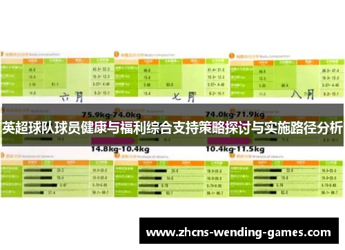 英超球队球员健康与福利综合支持策略探讨与实施路径分析