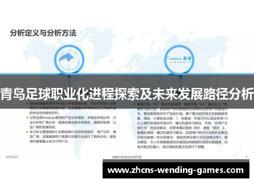 青岛足球职业化进程探索及未来发展路径分析 青岛足球职业化进程探索及未来发展路径分析